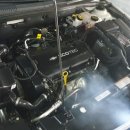 애니카랜드 양주점 이미지