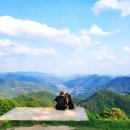 송화목장 이미지