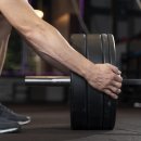 비다펠리즈 이미지