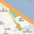 흑석24시동물병원 네이버블로그