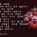 보람찬하루 이미지