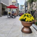 골든메디컬케어센터 이미지