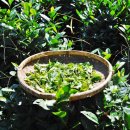 새뜸농장 이미지