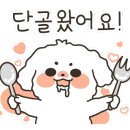 어게인1984 네이버블로그