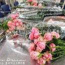 [북부] 플라워테라피 이미지