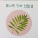 위례스타필드시티앞 식물산책 오픈 이미지