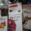 윤금희 이미지