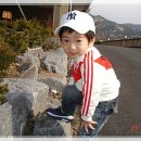 동유 이미지