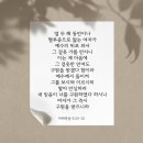 카라트