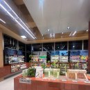 올리브2 | 올리브베러 외않가 | 광화문 올리브베러매장 2번째 방문 솔직후기