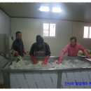 옥동리(상) | [스크랩] 친환경 절임배추 팝매합니다.