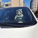 구덕산 유아숲체험원 이미지