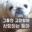경산장례협동조합 이미지