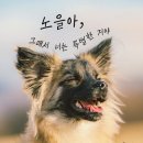 못생긴 노을이