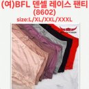 (여)BFL 텐셀 레이스 팬티(8602) 이미지