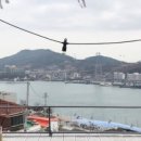 카페듀