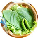 제주도현지인 추천 맛집 : 서귀포 중문 근처에 위치한 대포동산횟집 방문후기