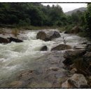 푸른계곡 이미지