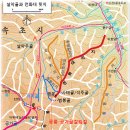 까치골