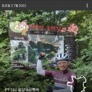 가태길 | 22-0702 PT-107 밀양 어드벤처