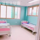 만안초등학교 | 안양요양원 안양엘림요양원 프로그램·돌봄서비스 실제 이용후기