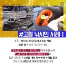 에코레저 이미지
