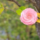 성지초등학교 앞 이미지