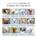 야호광고기획 이미지