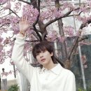 북한산막국수 이미지