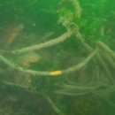 장지마을 이미지