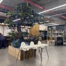 은행나무흑염소 | [양산] 흑염소 전문점 :: 천복집흑염소 양산점 내돈내산 후기