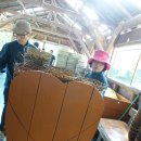 안흥목장 이미지