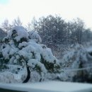 정한농원 이미지