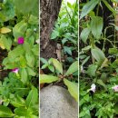 기세한의원 이미지