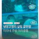 미라네 | 대파 냉장보관 이렇게 쉬웠어? 미라네 미라클통 멀티 5L 후기