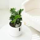 재화꽃집 이미지