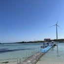 월정플레이스(Woljeong Place) | [제주] 구좌 에메랄드 빛 투명한 월정리 바다에서 즐기는 월정리투명카약!