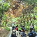 서울광진초등학교 | [아차산 등산코스] 동상산악회 2025년 6월 정기산행 후기