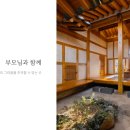 소노한 이미지