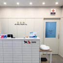 태양 동물병원 이미지