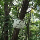 효령보은