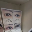 세종BYC | 청주 강서동 아름눈속눈썹: 또렷하고 세련된 애니메 속눈썹 연장 후기