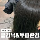 멍멍헤어 | 대치동미용실 플랜에이치, 헤어클리닉과 두피스케일링 관리 후기