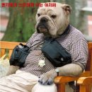 놀자 이미지