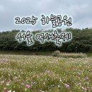 하늘바이오 | 서울 가을 명소 추천: 하늘공원 ‘서울 억새축제’ 생생 후기