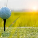 지에스메디텍 이미지