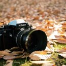 현재어학원 이미지