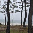 하운드호텔, 원산도 까페 바이더 오, 안면도 858까페, 황도, 태안 로컬푸드직매장, 수원 방문진료와 축구