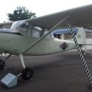 O-1 Daum카페