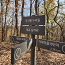 고운동_세종누리학교 이미지